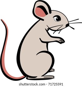 mouse sitting