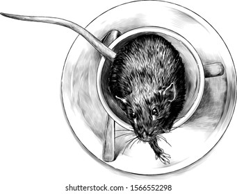 mouse sitting in a Cup that stands on a saucer with a teaspoon top view, sketch vector graphics monochrome illustration on white background