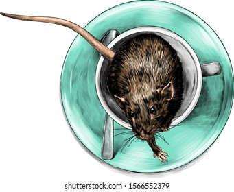 mouse sitting in a Cup that stands on a saucer with a teaspoon top view, sketch vector graphics color illustration on white background