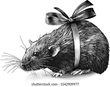 mouse sitting full length with bow on torso, sketch vector graphics monochrome illustration on white background