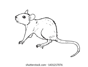 Mouse sketch drawn by hand. Black and white vector illustration.