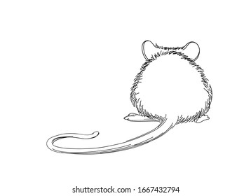 Mouse Sketch Hand-drawn Illustration. Line Art Animal Isolated On White Background