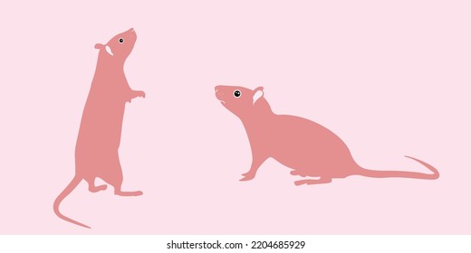 Mouse as Small Rodent  Coat in Different Poses Vector Set.Mouse isolated on background.