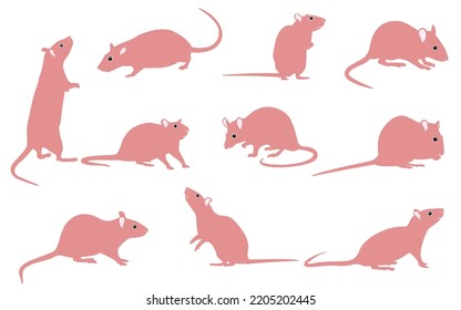 Mouse as Small Rodent  Coat in Different Poses Vector Set.Mouse isolated on background.