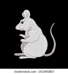 Mouse standing in full profile in profile. Domestic pet, rodent, animal pest. Little animal, kids drawing. Vector cartoon flat illustration