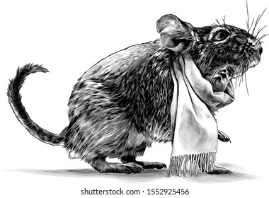 mouse standing sideways full length with raised front paw with scarf around neck, sketch vector graphics monochrome illustration on white background