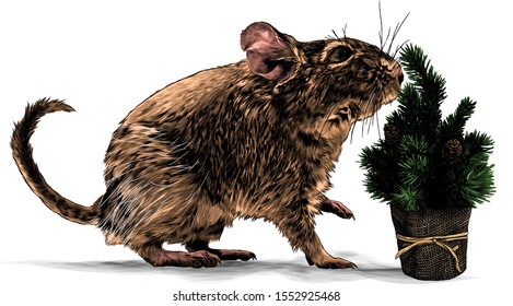 mouse standing sideways full length with raised front paw next to decorative artificial potted Christmas tree, sketch vector graphics color illustration on white background