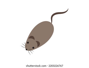 Mouse toy in flat style isolated on white background. Vector illustration of kitten toy