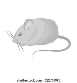 Mouse toy.Pet shop single icon in black style vector symbol stock illustration web.