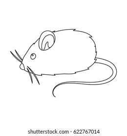 Mouse toy.Pet shop single icon in black style vector symbol stock illustration web.