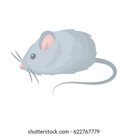 Mouse toy.Pet shop single icon in cartoon style vector symbol stock illustration web.