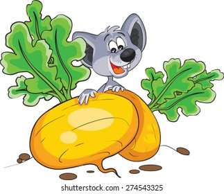 Mouse with turnips