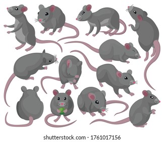 Icono de conjunto de dibujos animados del vector del ratón. Animales de ilustración vectorial sobre fondo blanco. Icono de conjunto de dibujos animados aislados.