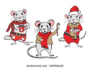 Mouse vector hand drawn illustration. New Year card.