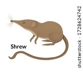 Mouse vector icon.Cartoon vector icon isolated on white background mouse.