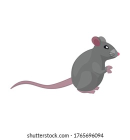 Icono del vector del ratón.Icono del vector de dibujos animados aislado en el ratón de fondo blanco.