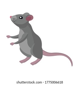 Mouse vector icon.Cartoon vector icon isolated on white background mouse.