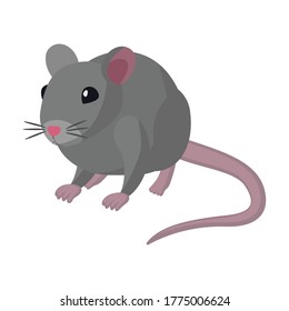 Mouse vector icon.Cartoon vector icon isolated on white background mouse.