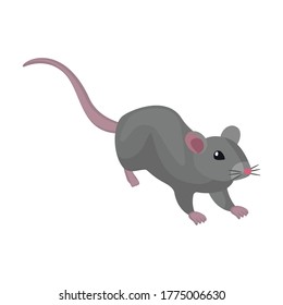 Mouse vector icon.Cartoon vector icon isolated on white background mouse.