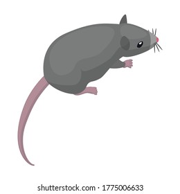 Mouse vector icon.Cartoon vector icon isolated on white background mouse.