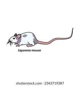 Mouse vector icon.Color vector icon isolated on white background mouse.