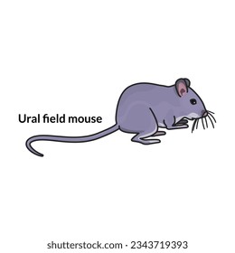 Mouse vector icon.Color vector icon isolated on white background mouse.