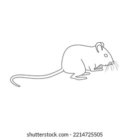 Mouse vector icon.Outline vector icon isolated on white background mouse.