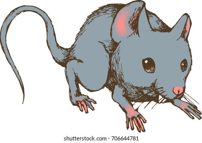 Mouse. Vector illustration