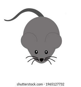 mouse vector illustration on white background 