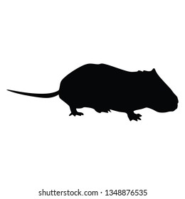 Mouse wild animal illustration. Mouse wild animal icon, sign. - Vector