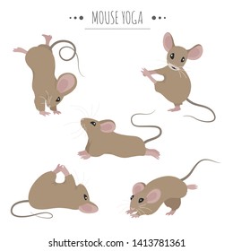 Mouse yoga poses and exercises. Cute cartoon clipart set. Vector illustration