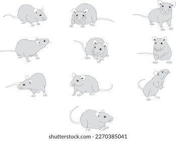 Mouses en 10 poses diferentes de escala de grises