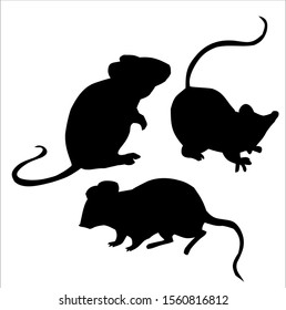 Mouses in a hat, new year 2020