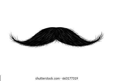 Moustache isolated on white. Vector illustration.