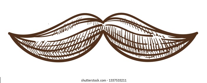 Moustache stylish man attribute monochrome sketch outline vector retro mustache fashion of males gentelmens feature logotype for barber shop colorless logo of curly hair masculine style of 60s