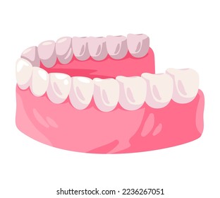 Mouth gums and teeth orthodonthic lower jaw vector drawing illustration