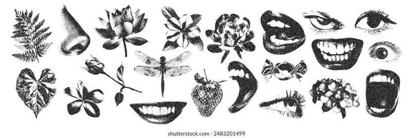 Mouth in scream, crazy eyes, flowers, dragonfly with retro photocopy stipple effect, for grunge punk y2k collage design. Vector illustration in vintage halftone brutalist design for banner or poster