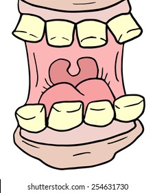 Mouth teeth