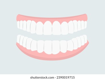 Mouth with teeth concept. Oral hygiene and cleanliness, stomatology. Beautiful smile. Medical infographic and educational materials. Cartoon flat vector illustration isolated on grey background