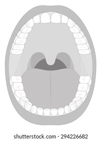 Mouth Teeth Jaw Outline