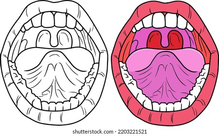 mouth  vector illustration isolated on white background