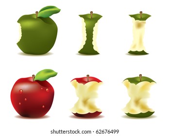 Mouthwatering fresh apple vector