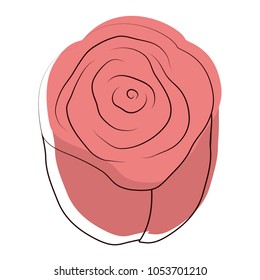 moved color beautiful rose with nature petals decoration