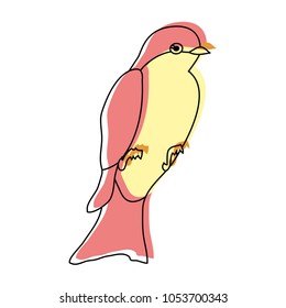 moved color beauty bird animal with feathers and wings