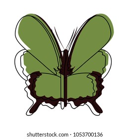 moved color beauty butterfly insect animal with wings