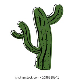 moved color cactus plant nature design in the desert