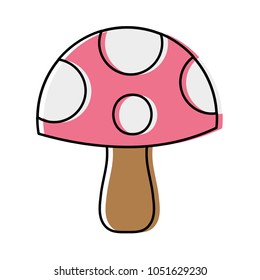 moved color nature fungus plant that burn in the tree forest