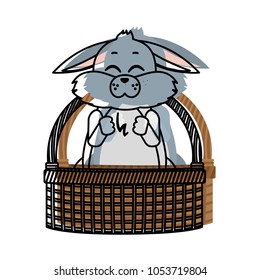 moved color tender wild rabbit animal inside hamper