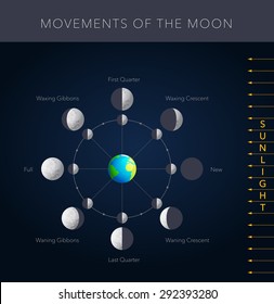 Movements Of The Moon, 8 Lunar Phases Vector