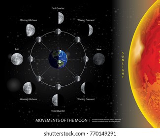 Movements of the Moon 8 Lunar Phases Realistic Vector Illustration